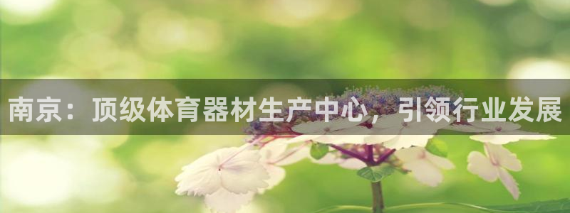 耀世集團(tuán)董事長個人簡歷：南京：頂級體育器材生產(chǎn)中心，