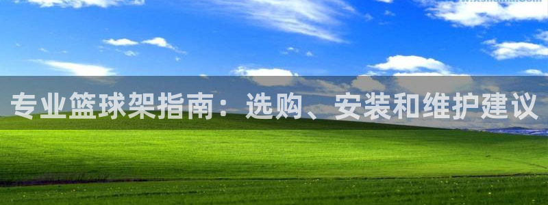 耀世啥意思：專業(yè)籃球架指南：選購、安裝和維護(hù)建議