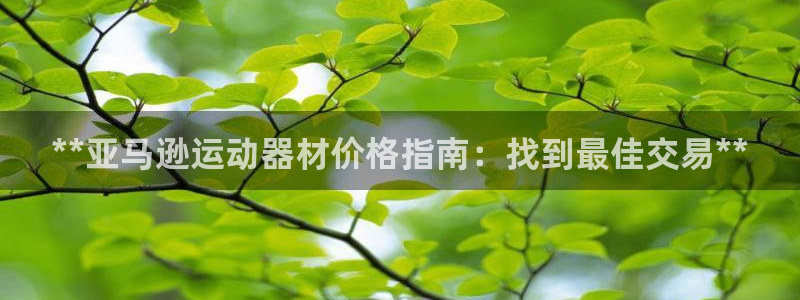 耀世娛樂是個什么平臺?。?*亞馬遜運動器材價格指南：