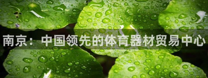 耀世官方網(wǎng)站